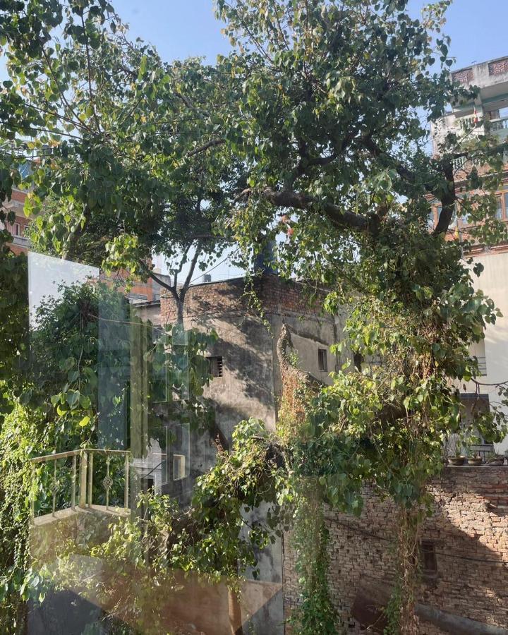 Rooftop Studio And 2Bhk Apartments In Kathmandu'S Most Happening Place Экстерьер фото
